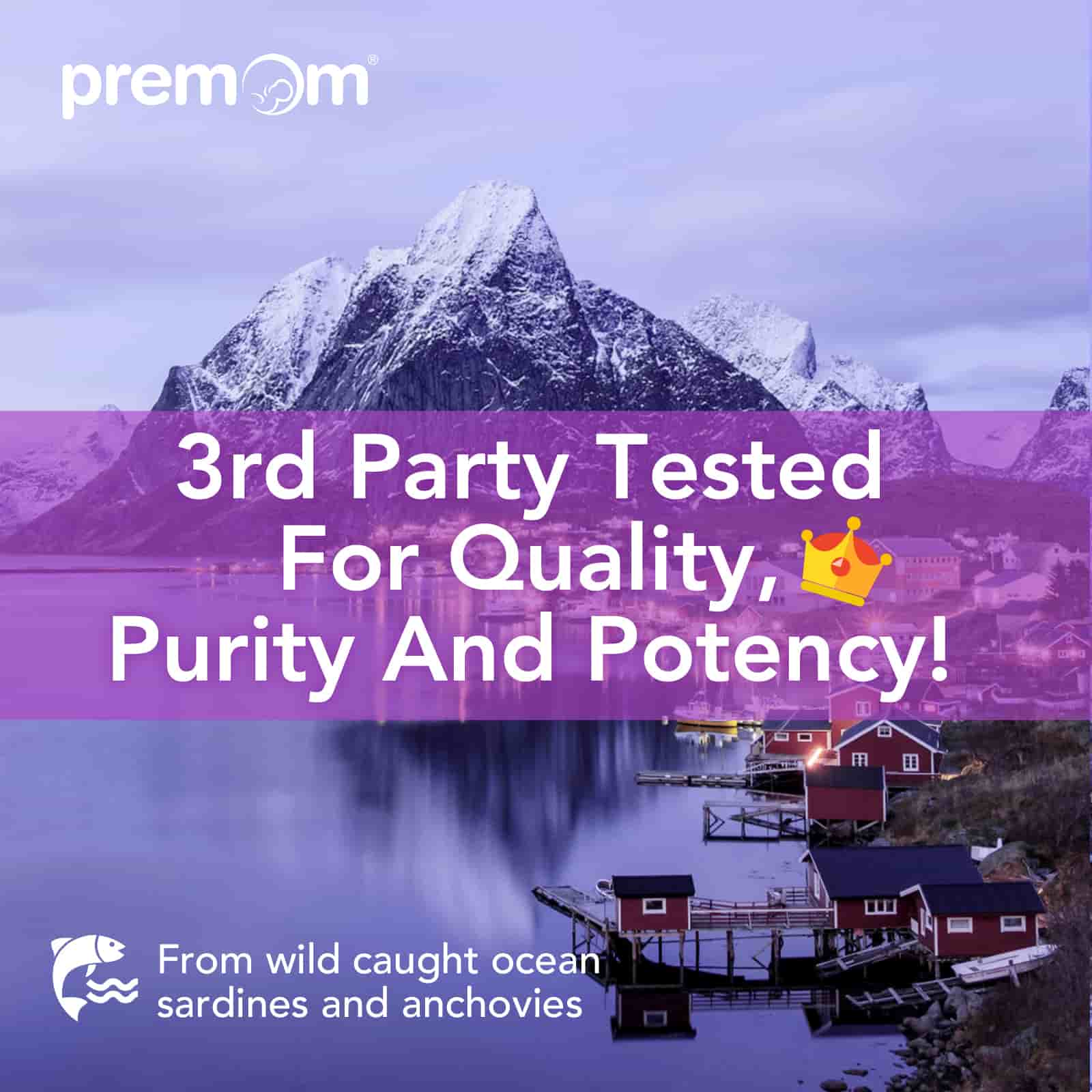 premom-prenatal-dha-fish-oil-olio-di-pesce-omega-3-prenatale image 8